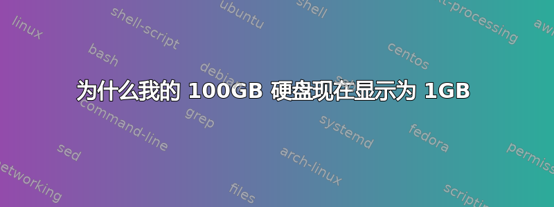 为什么我的 100GB 硬盘现在显示为 1GB