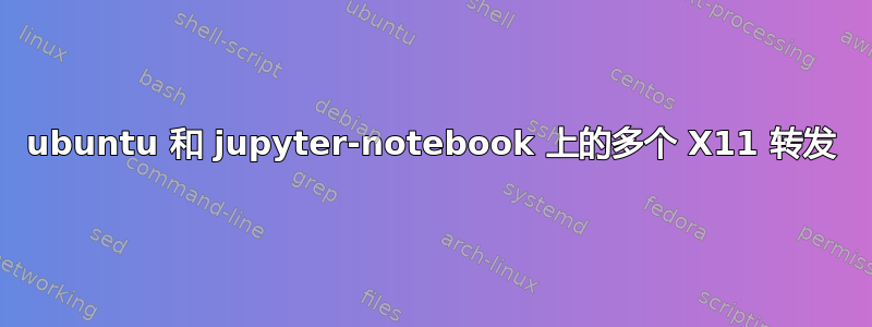 ubuntu 和 jupyter-notebook 上的多个 X11 转发