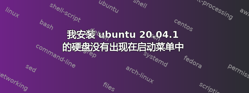 我安装 ubuntu 20.04.1 的硬盘没有出现在启动菜单中