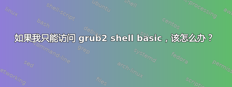 如果我只能访问 grub2 shell basic，该怎么办？