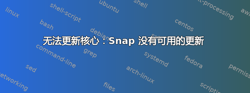 无法更新核心：Snap 没有可用的更新