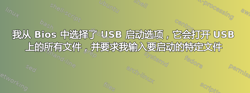 我从 Bios 中选择了 USB 启动选项，它会打开 USB 上的所有文件，并要求我输入要启动的特定文件