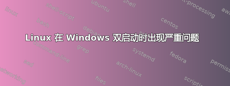 Linux 在 Windows 双启动时出现严重问题 