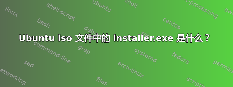 Ubuntu iso 文件中的 installer.exe 是什么？