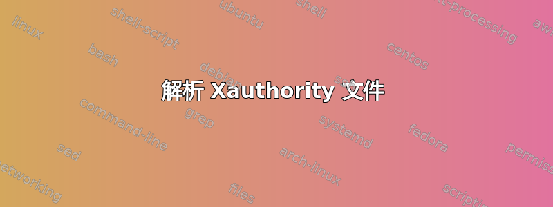 解析 Xauthority 文件