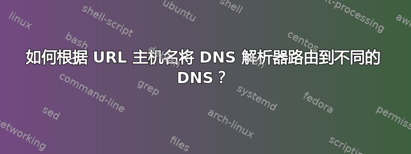 如何根据 URL 主机名将 DNS 解析器路由到不同的 DNS？