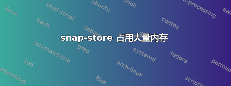 snap-store 占用大量内存