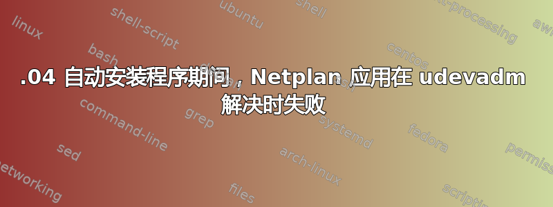 20.04 自动安装程序期间，Netplan 应用在 udevadm 解决时失败