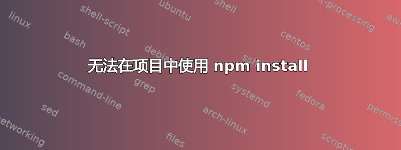 无法在项目中使用 npm install