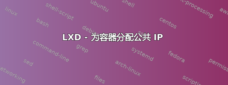 LXD - 为容器分配公共 IP