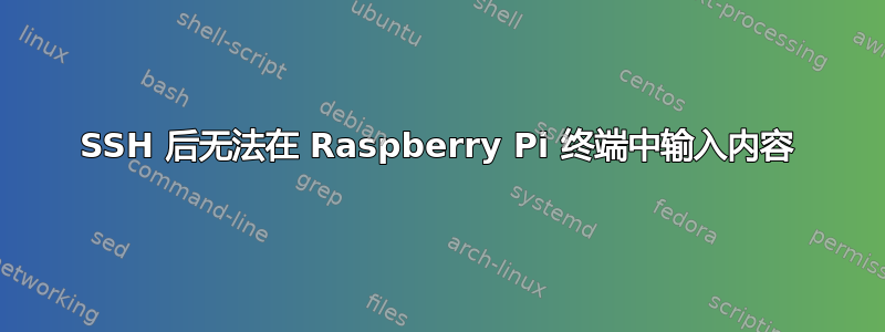 SSH 后无法在 Raspberry Pi 终端中输入内容