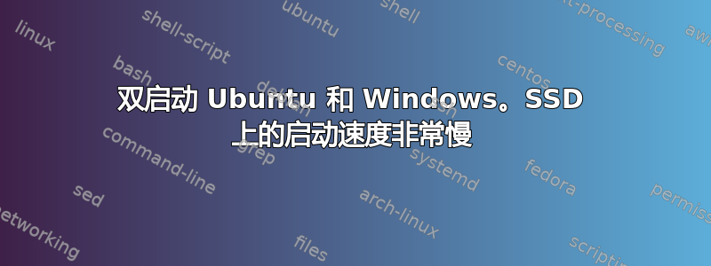 双启动 Ubuntu 和 Windows。SSD 上的启动速度非常慢