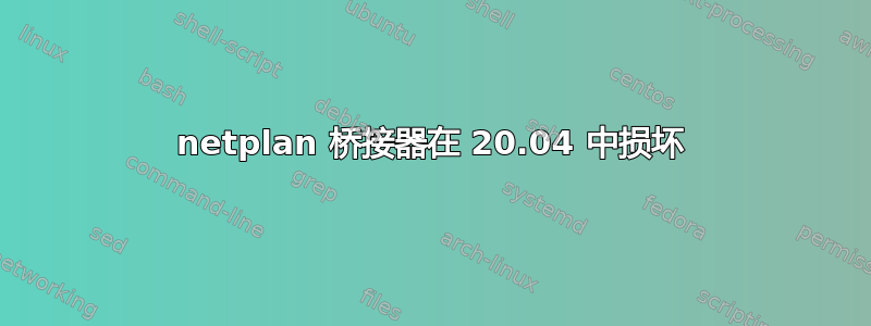 netplan 桥接器在 20.04 中损坏