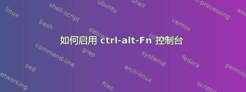 如何启用 ctrl-alt-Fn 控制台