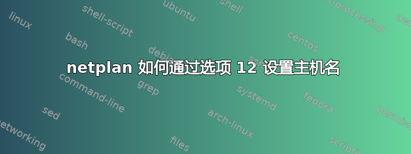 netplan 如何通过选项 12 设置主机名