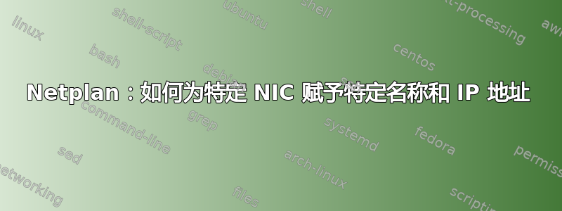 Netplan：如何为特定 NIC 赋予特定名称和 IP 地址