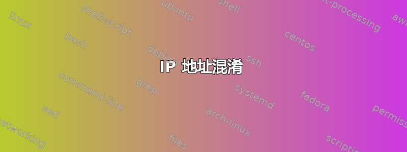 IP 地址混淆