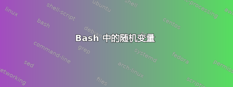 Bash 中的随机变量