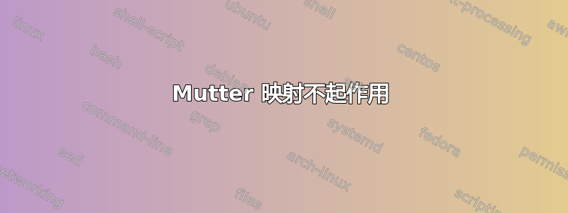 Mutter 映射不起作用