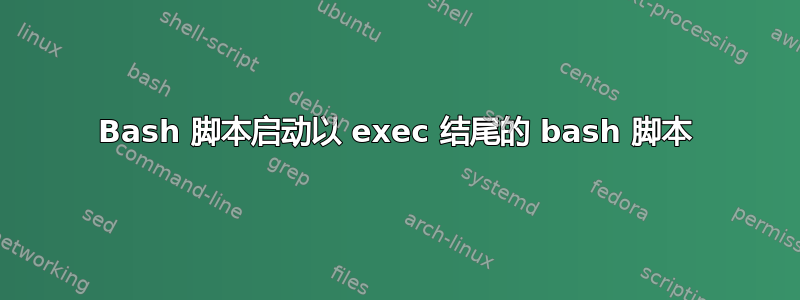 Bash 脚本启动以 exec 结尾的 bash 脚本