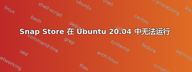 Snap Store 在 Ubuntu 20.04 中无法运行