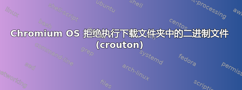 Chromium OS 拒绝执行下载文件夹中的二进制文件 (crouton)