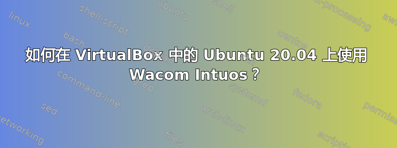 如何在 VirtualBox 中的 Ubuntu 20.04 上使用 Wacom Intuos？