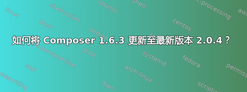 如何将 Composer 1.6.3 更新至最新版本 2.0.4？