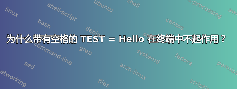 为什么带有空格的 TEST = Hello 在终端中不起作用？