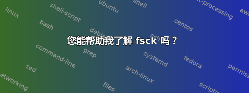 您能帮助我了解 fsck 吗？