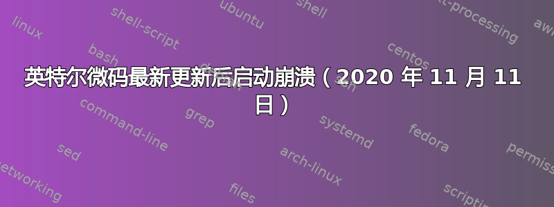 英特尔微码最新更新后启动崩溃（2020 年 11 月 11 日）