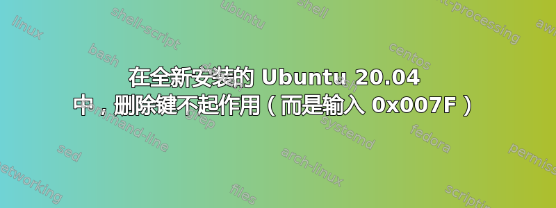 在全新安装的 Ubuntu 20.04 中，删除键不起作用（而是输入 0x007F）