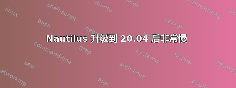 Nautilus 升级到 20.04 后非常慢