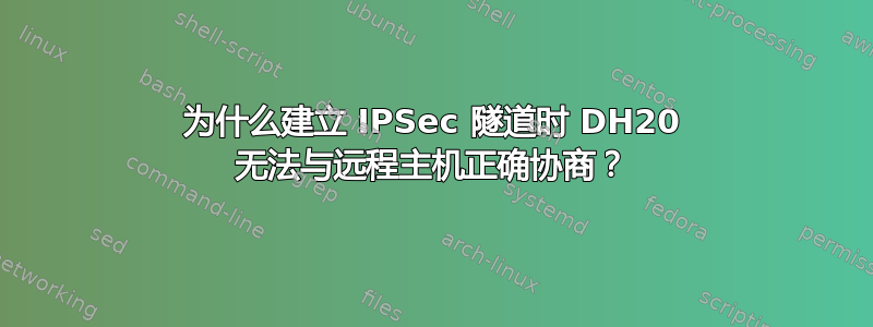 为什么建立 IPSec 隧道时 DH20 无法与远程主机正确协商？