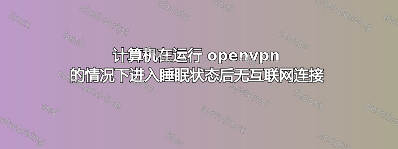 计算机在运行 openvpn 的情况下进入睡眠状态后无互联网连接