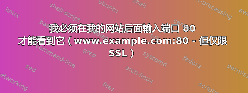 我必须在我的网站后面输入端口 80 才能看到它（www.example.com:80 - 但仅限 SSL）