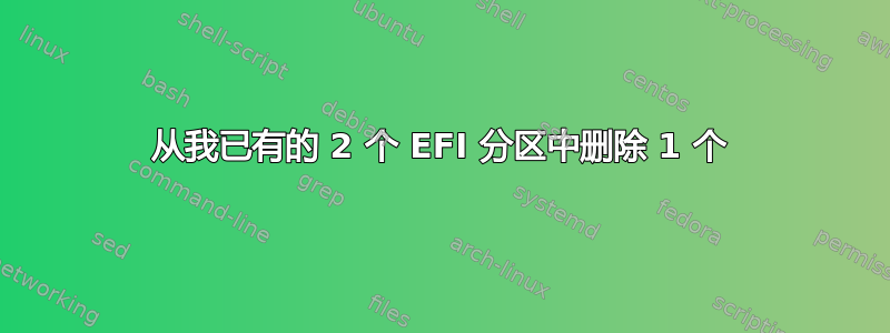 从我已有的 2 个 EFI 分区中删除 1 个