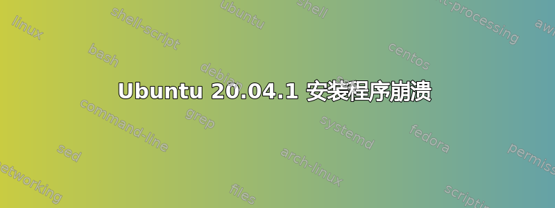 Ubuntu 20.04.1 安装程序崩溃