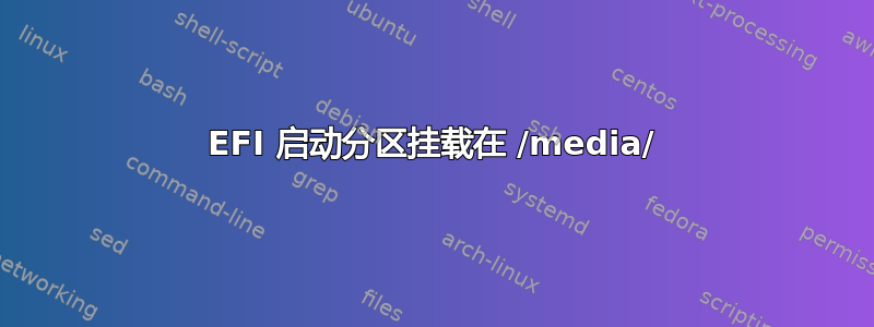 EFI 启动分区挂载在 /media/