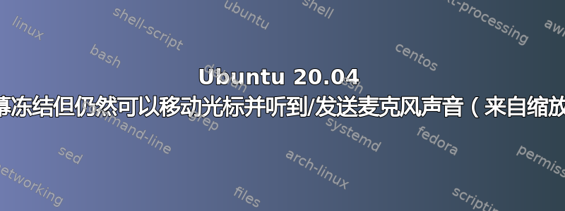 Ubuntu 20.04 屏幕冻结但仍然可以移动光标并听到/发送麦克风声音（来自缩放）