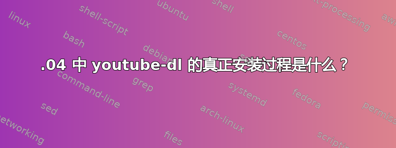 20.04 中 youtube-dl 的真正安装过程是什么？