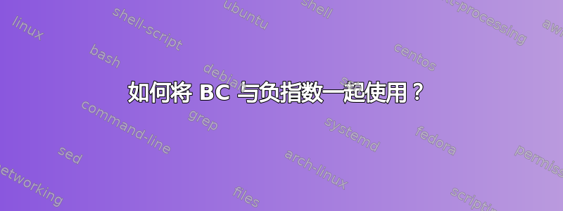 如何将 BC 与负指数一起使用？