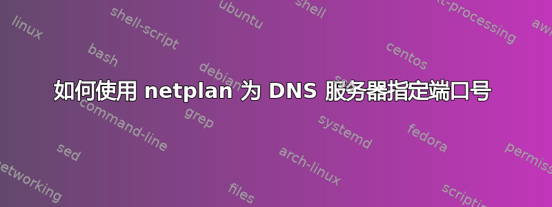 如何使用 netplan 为 DNS 服务器指定端口号