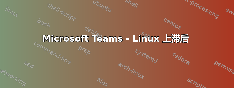 Microsoft Teams - Linux 上滞后