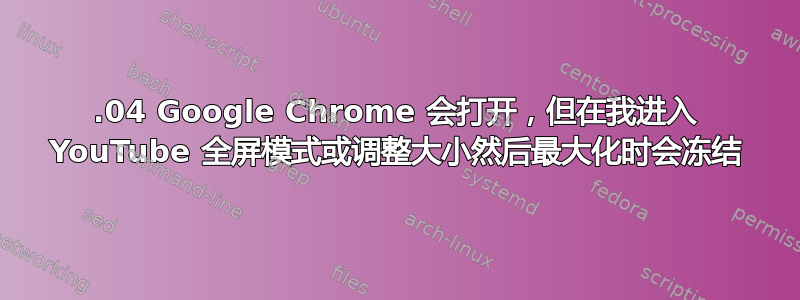 20.04 Google Chrome 会打开，但在我进入 YouTube 全屏模式或调整大小然后最大化时会冻结