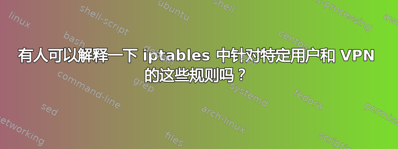 有人可以解释一下 iptables 中针对特定用户和 VPN 的这些规则吗？