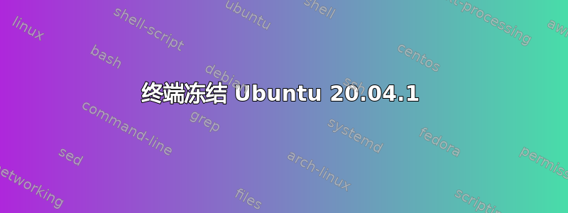 终端冻结 Ubuntu 20.04.1