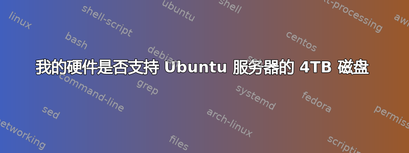 我的硬件是否支持 Ubuntu 服务器的 4TB 磁盘