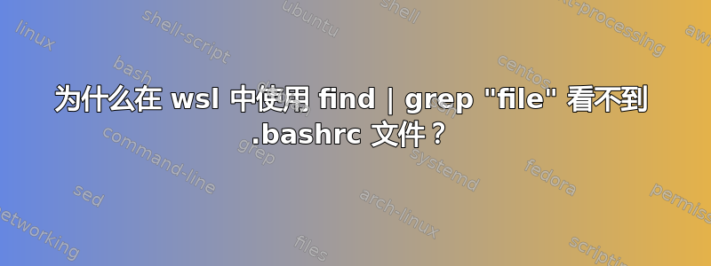 为什么在 wsl 中使用 find | grep "file" 看不到 .bashrc 文件？