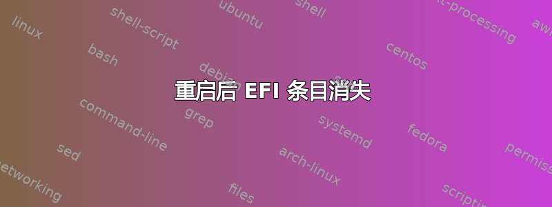 重启后 EFI 条目消失